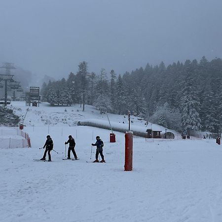 Gite A La Ferme Au Coeur De L'Auvergne Saint-Hippolyte  Buitenkant foto