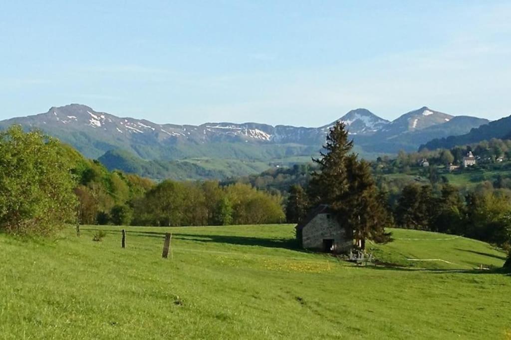 Gite A La Ferme Au Coeur De L'Auvergne Saint-Hippolyte  Buitenkant foto