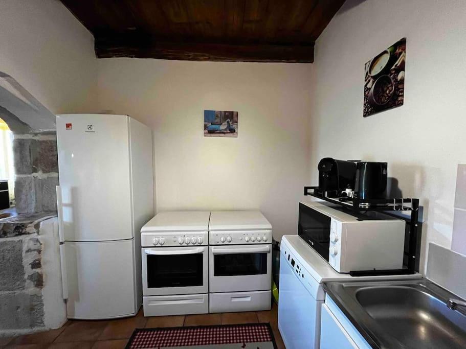 Gite A La Ferme Au Coeur De L'Auvergne Saint-Hippolyte  Buitenkant foto