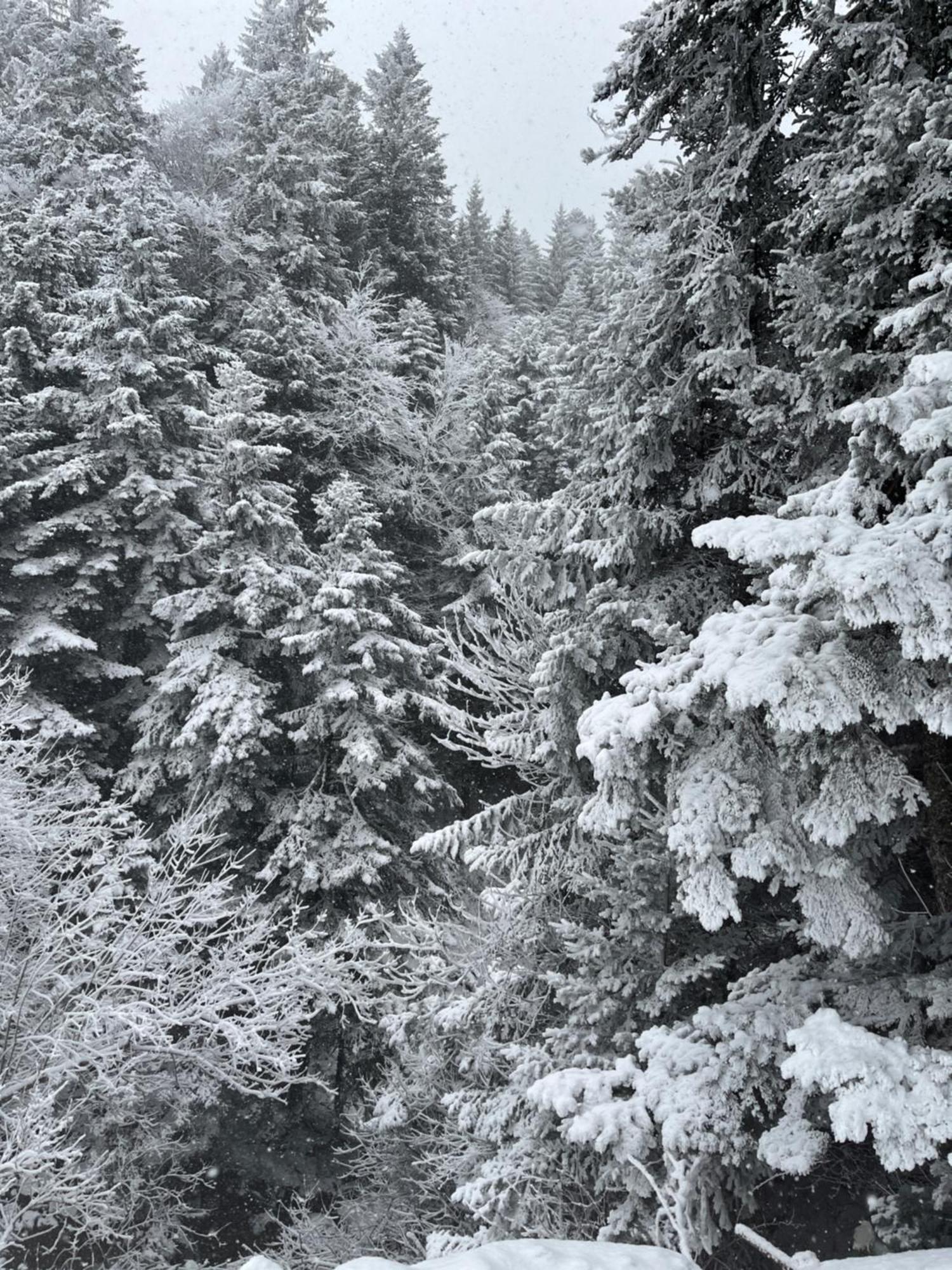 Gite A La Ferme Au Coeur De L'Auvergne Saint-Hippolyte  Buitenkant foto